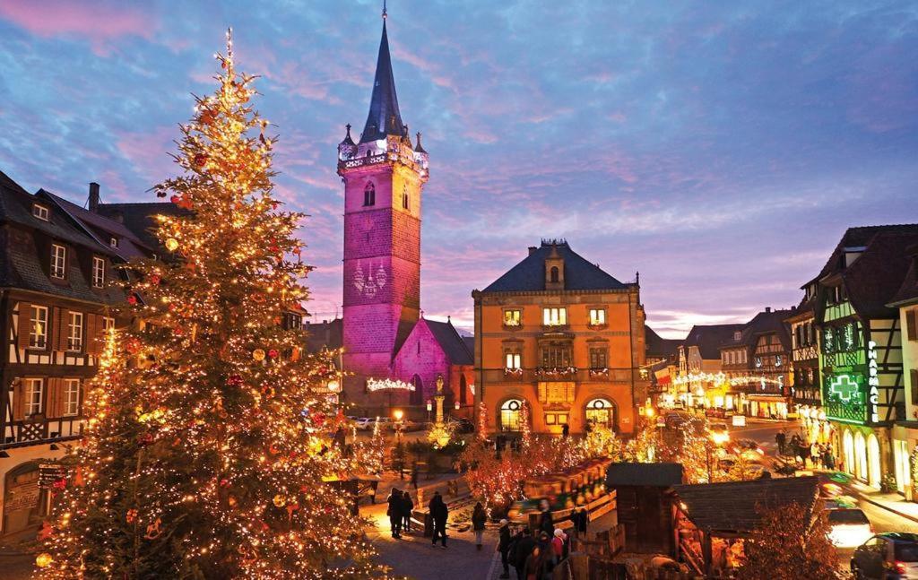 Le Beffroi Lejlighed Obernai Eksteriør billede